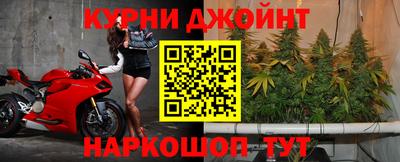 гашик Камышлов
