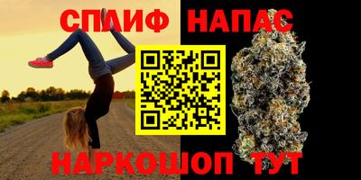 гашик Камышлов
