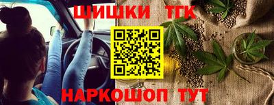 гашик Камышлов