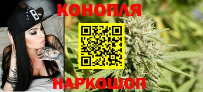 гидропоника Канаш