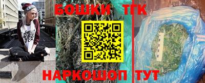 гашик Камышлов