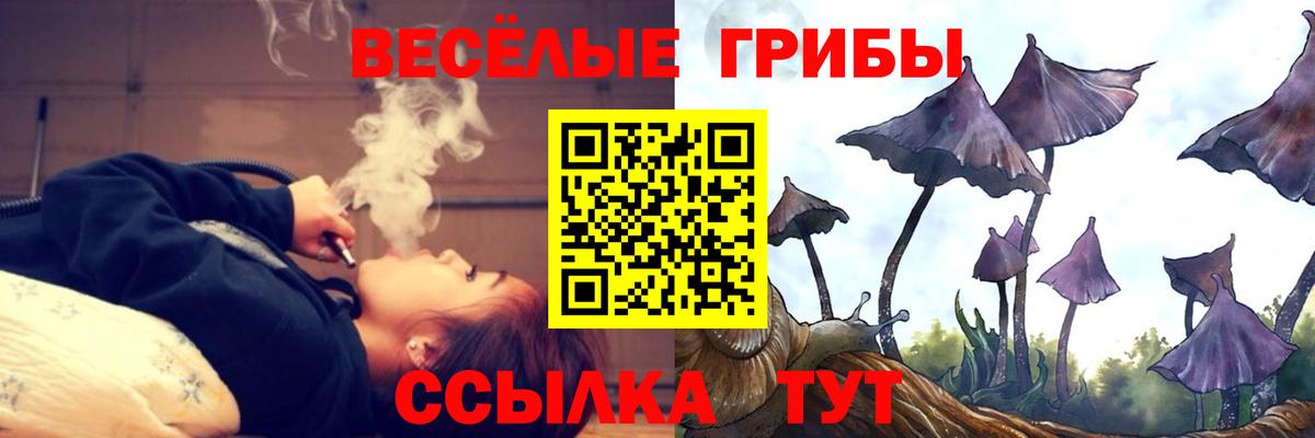 Псилоцибиновые грибы GOLDEN TEACHER  Вход с VPN  Корсаков  Галлюциногенные грибы мухоморы 